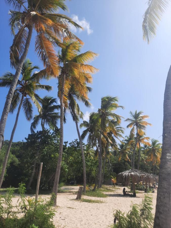 Virgin Islands Campground Water Island Buitenkant foto