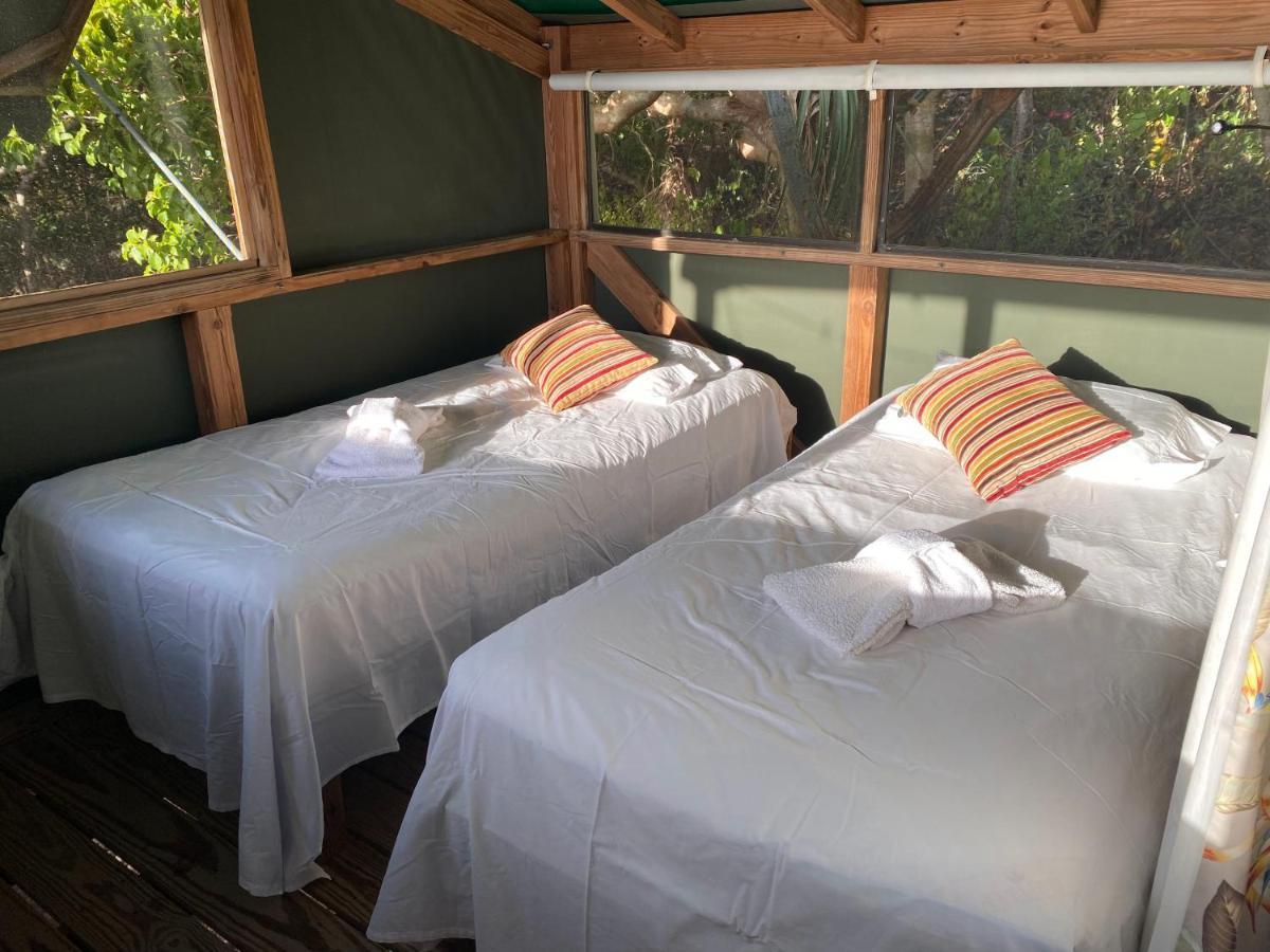 Virgin Islands Campground Water Island Buitenkant foto