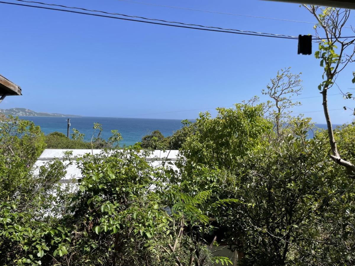 Virgin Islands Campground Water Island Buitenkant foto